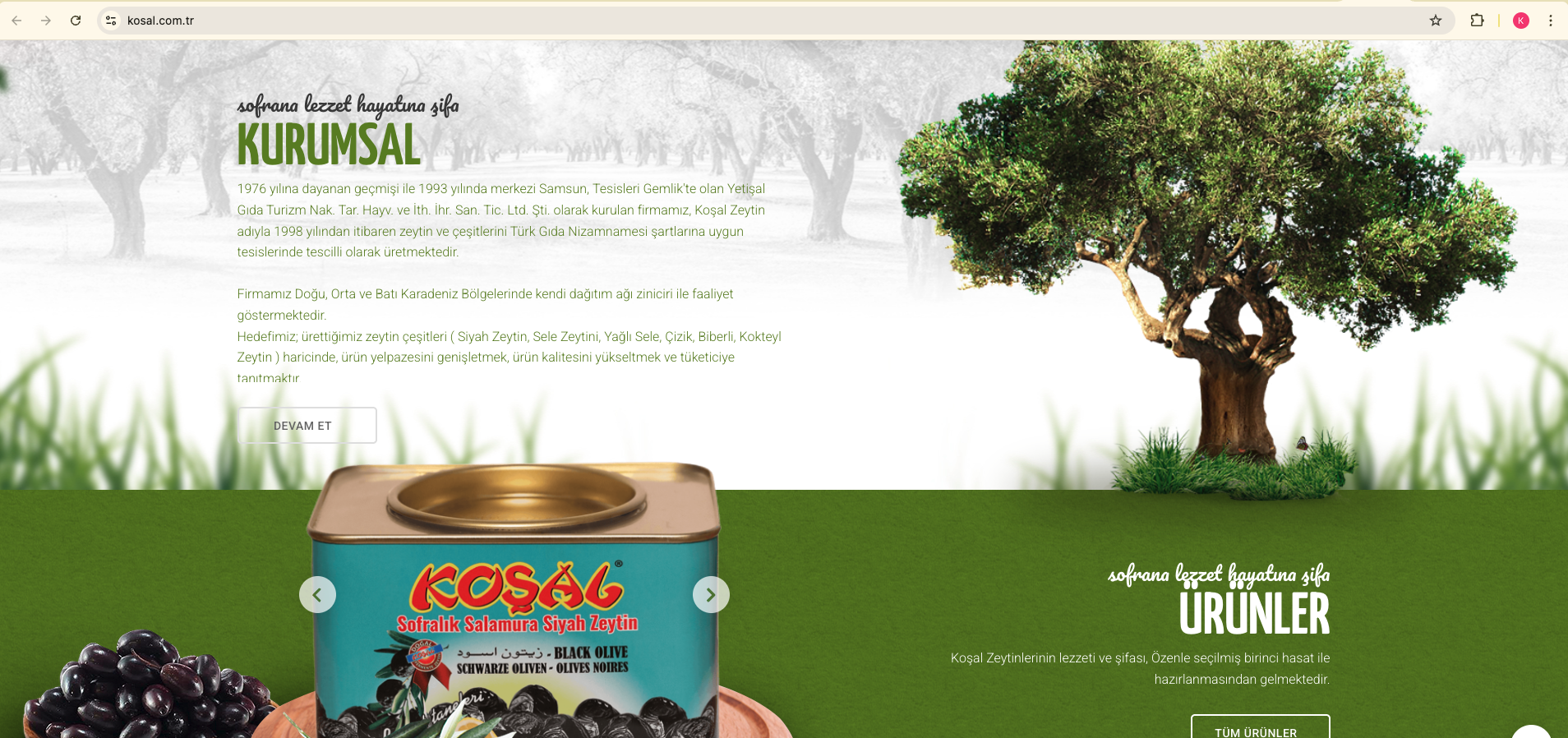 Koşal Zeytin ürün sayfaları — SEO yapı