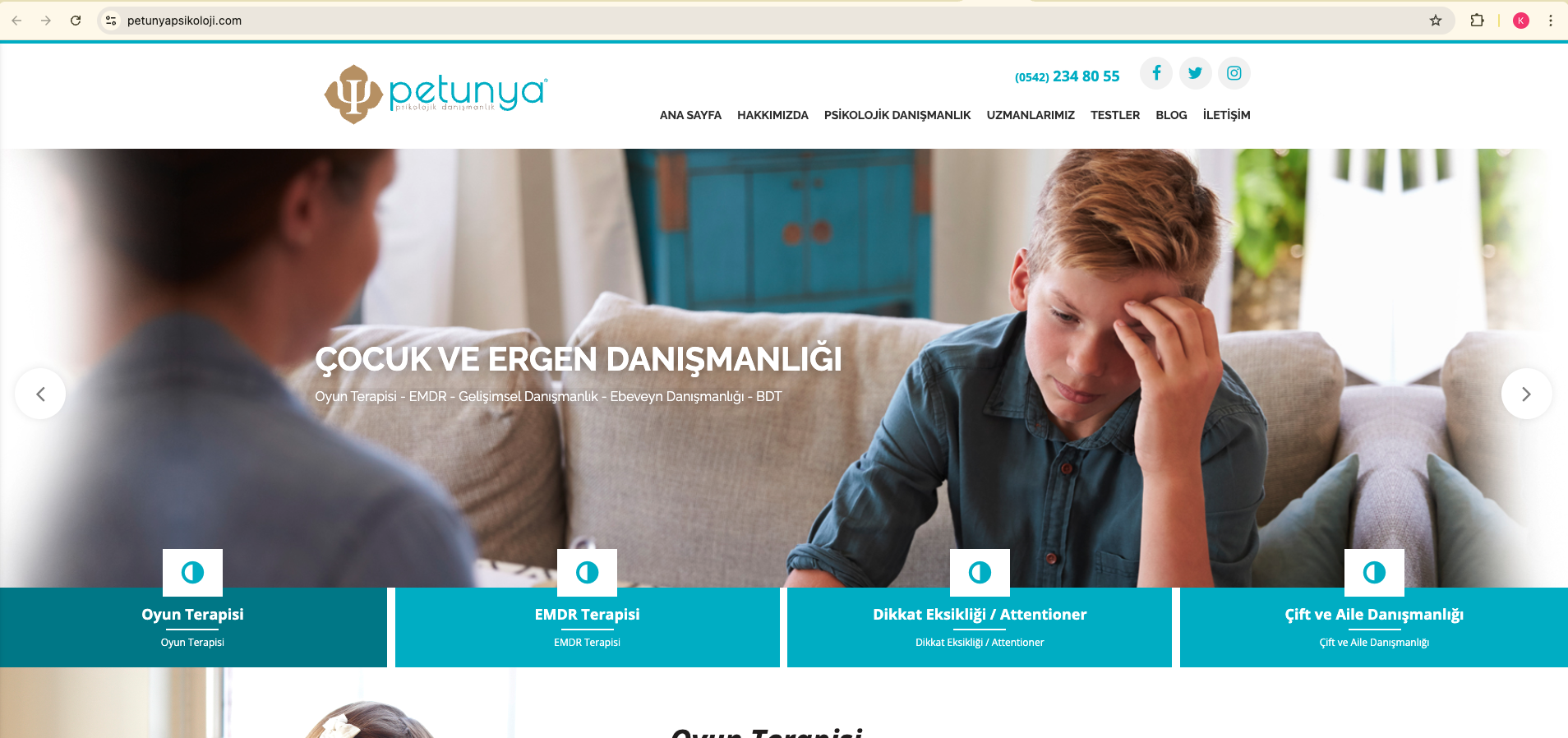 Petunya Psikoloji — masaüstü web arayüzü