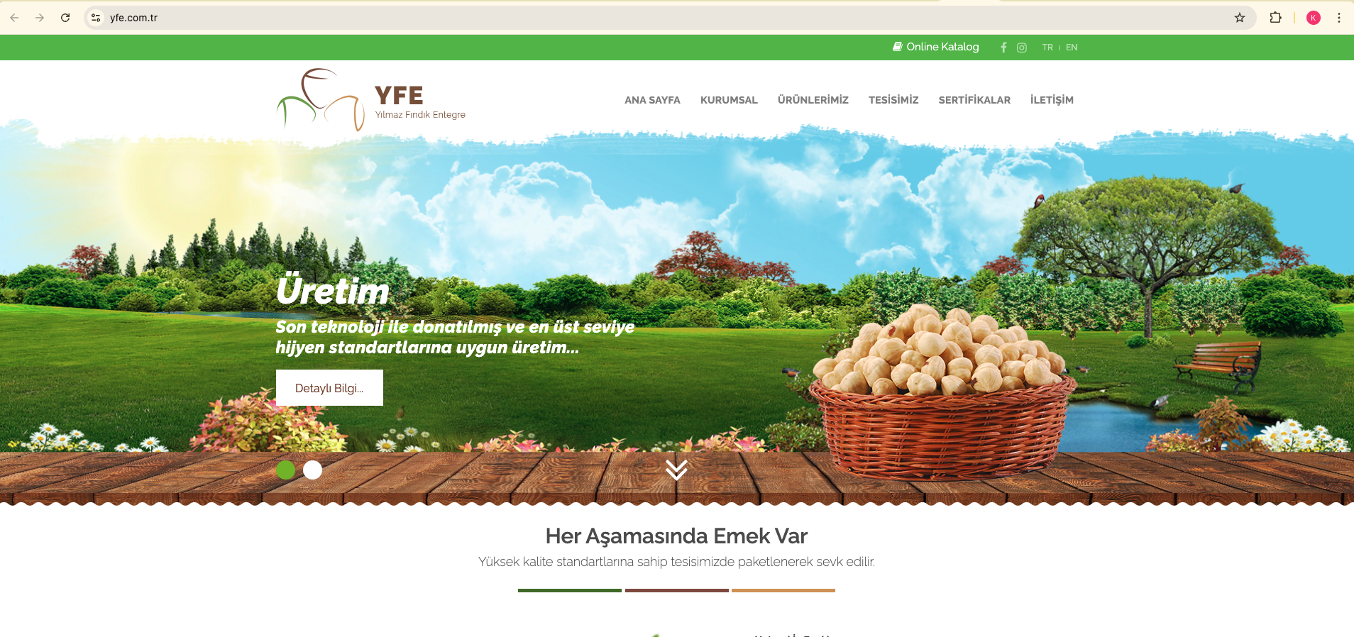 YFE (Yılmaz Fındık Entegre) — masaüstü web arayüzü