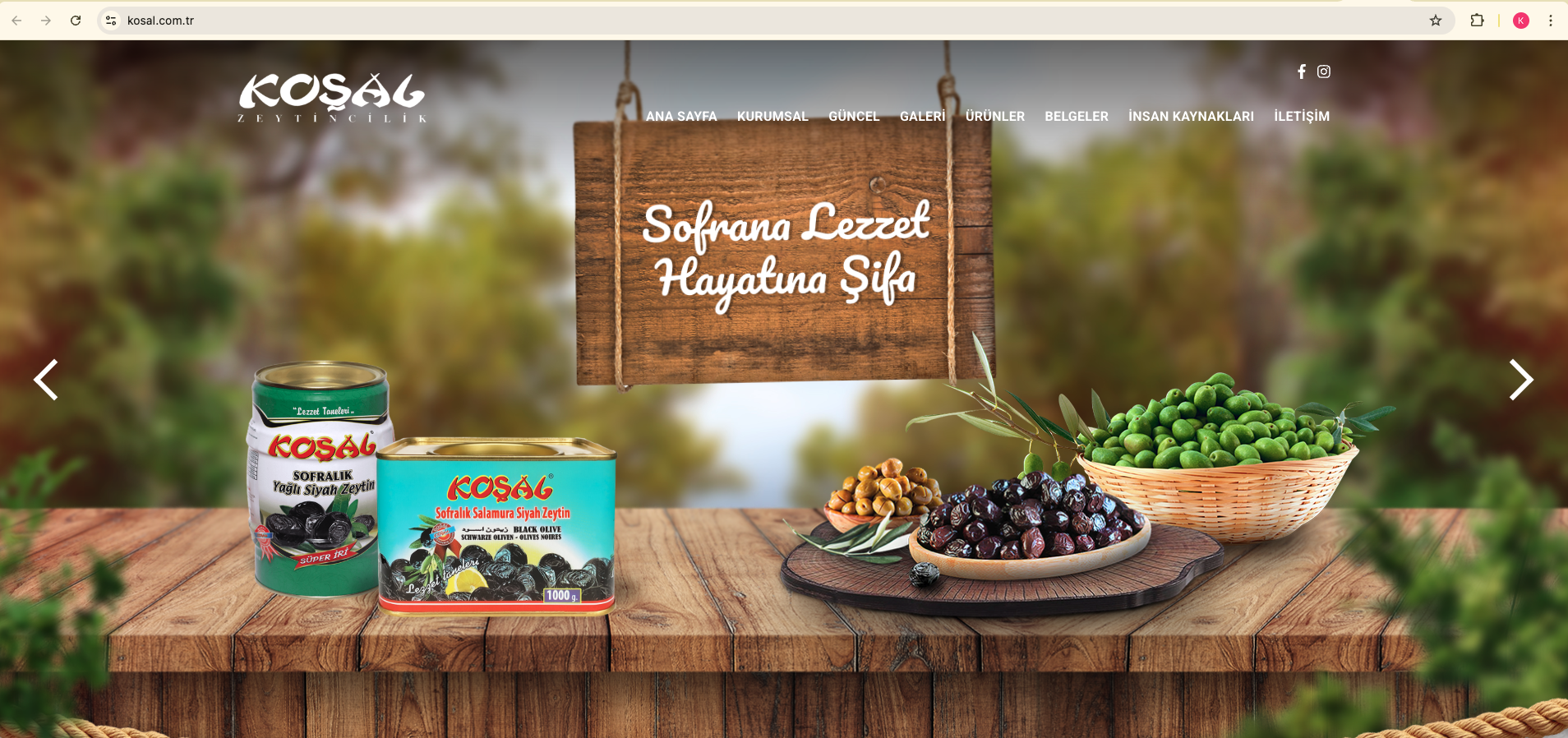 Koşal Zeytincilik — masaüstü web arayüzü